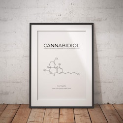 Cannabidiol - Kemi Poster