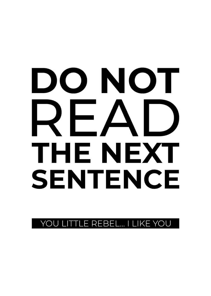 Do Not Read The Next Sentence Poster