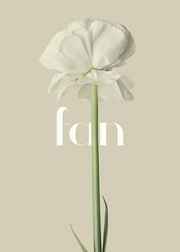 Fan - Floral Poster
