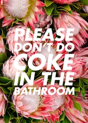 Please Don't Do Coke In The Bathroom Poster