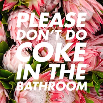 Please Don't Do Coke In The Bathroom Poster