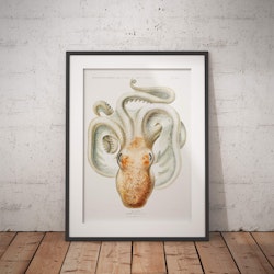 Octopus v3 Poster