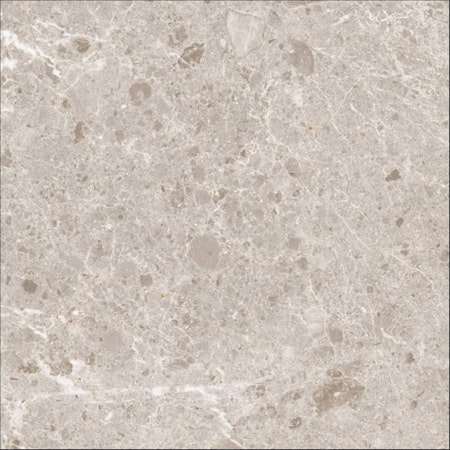 Artic Ceppo 60x60