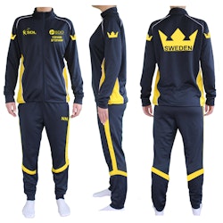 Team Sweden overall