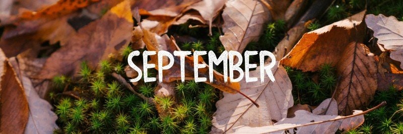 September Månadssten: Utforska Traditionella och Moderna Alternativ