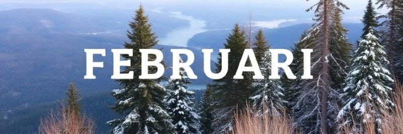 Februari Månadssten: Utforska Traditionella och Moderna Alternativ