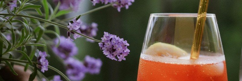 Effektiva Naturliga Myggavvisare: Upptäck Lavendel och Andra Dofter för En Myggfri Sommar