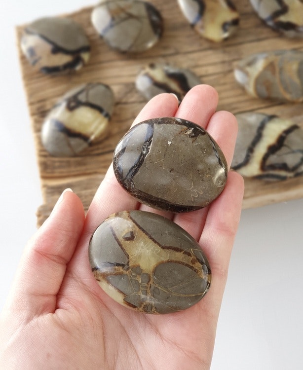 Septarian / Draksten, touchstone