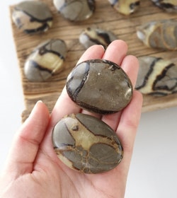 Septarian / Draksten, touchstone