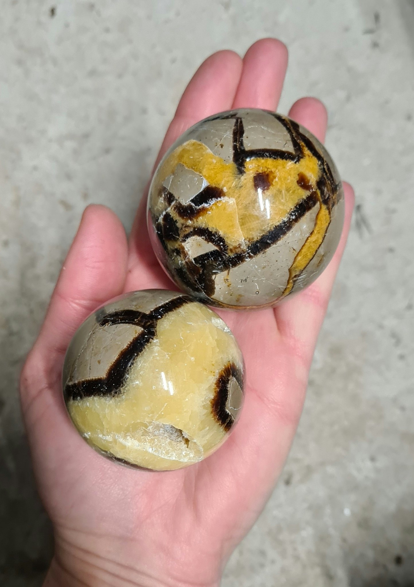 Septarian / Draksten, stora klot