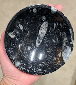 Ortoceratit Fossil, rund skål liten