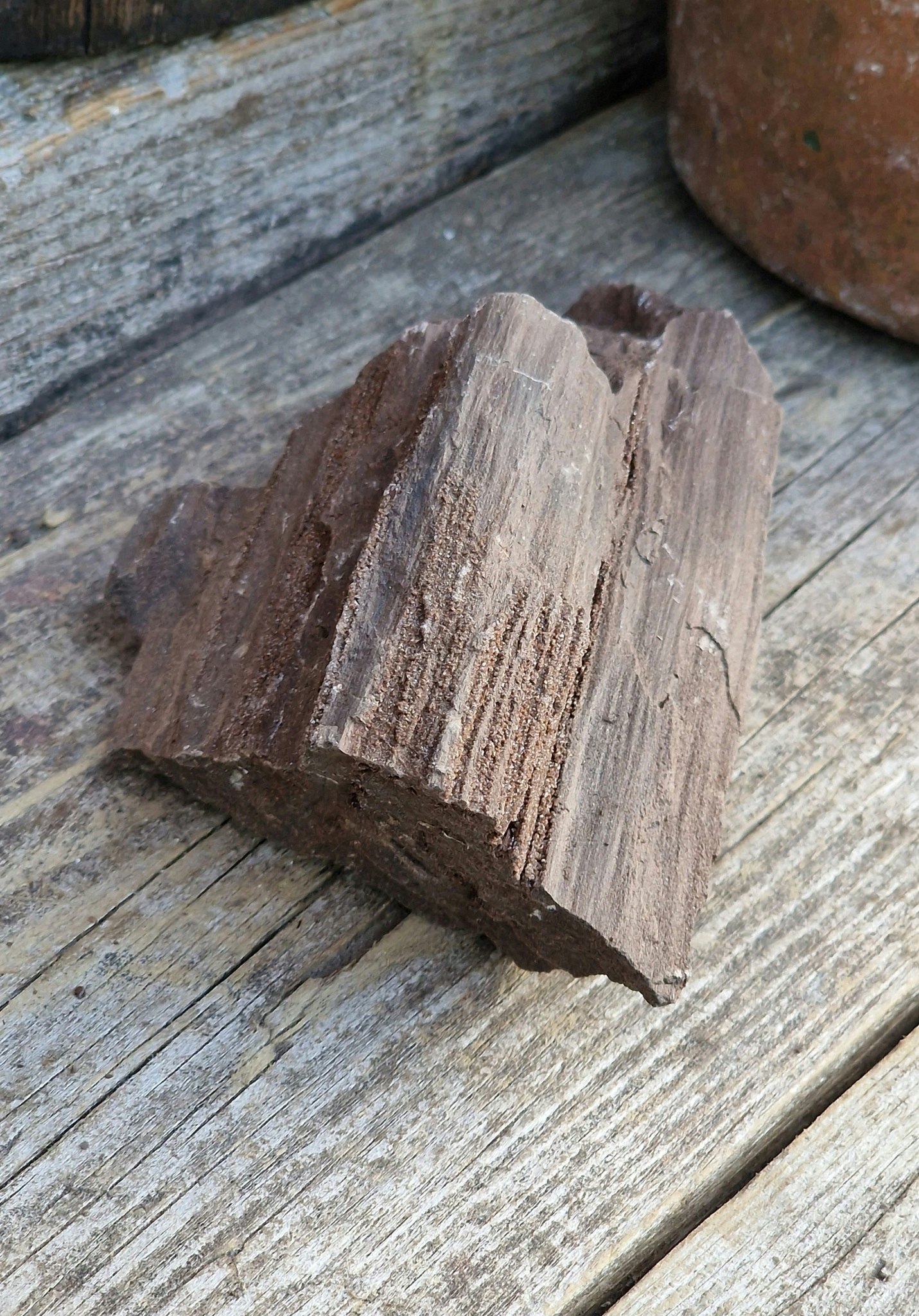 Förstenat trä med druzykristaller #24