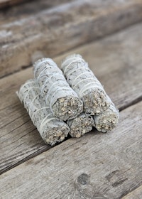 Vit Salvia