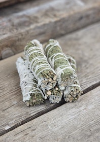 Vit Salvia med Ceder