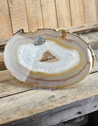 Plastställning för kristaller/fossiler, stor
