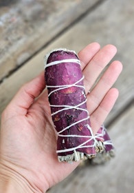 Vit Salvia med Rosenblad