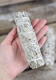 Vit Salvia, stor