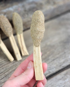 Palo Santo (Heligt trä), smudge med Eukalyptus