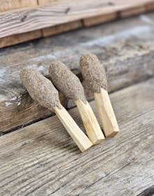 Palo Santo (Heligt trä), smudge med Svart Salvia