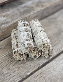 Vit Salvia i kombination med Royal Sage
