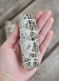 Vit Salvia i kombination med Royal Sage