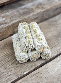 Vit Salvia med Sweetgrass