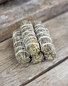 Lavendel, bunt