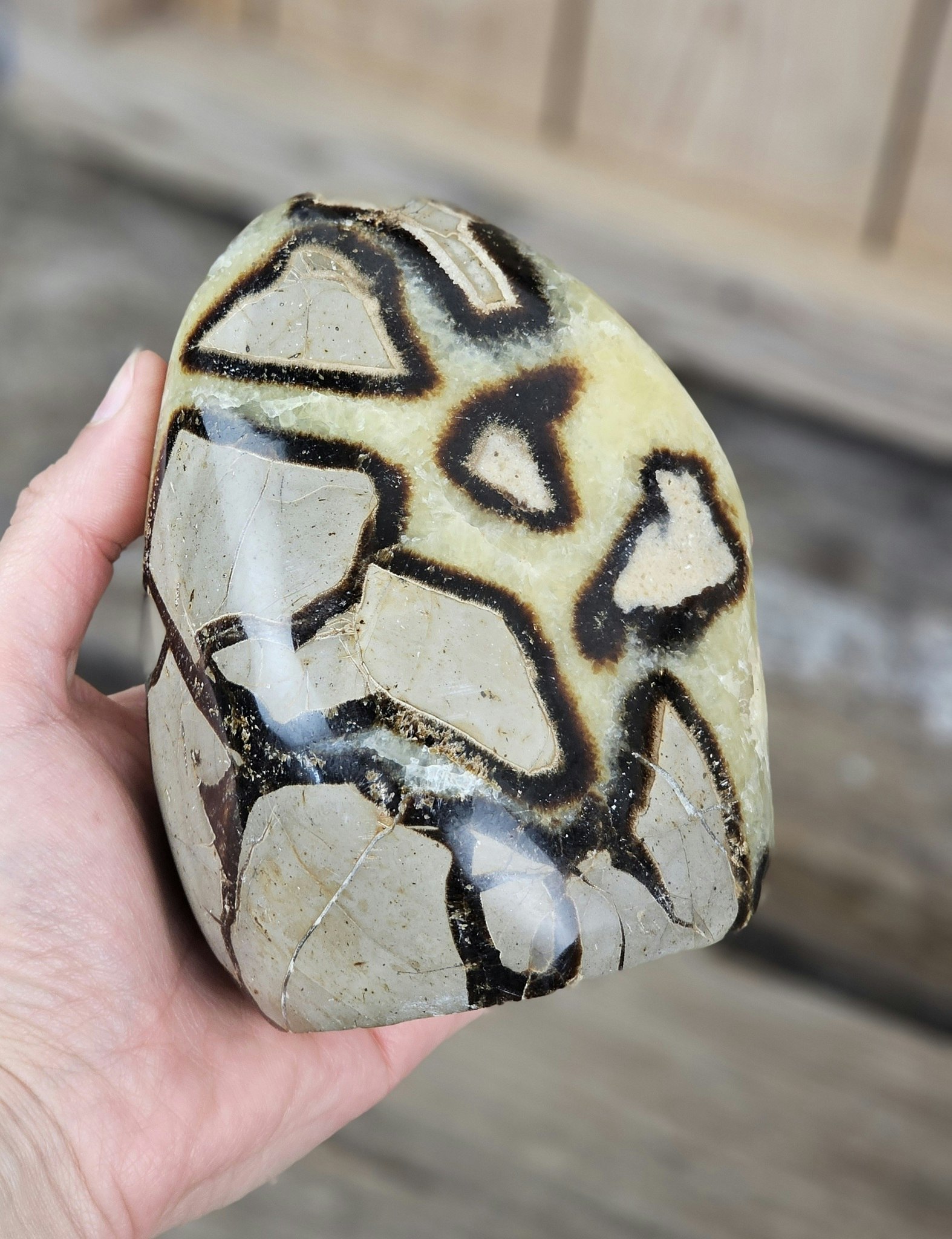 Septarian (Draksten), polerad kristall stående friform #7