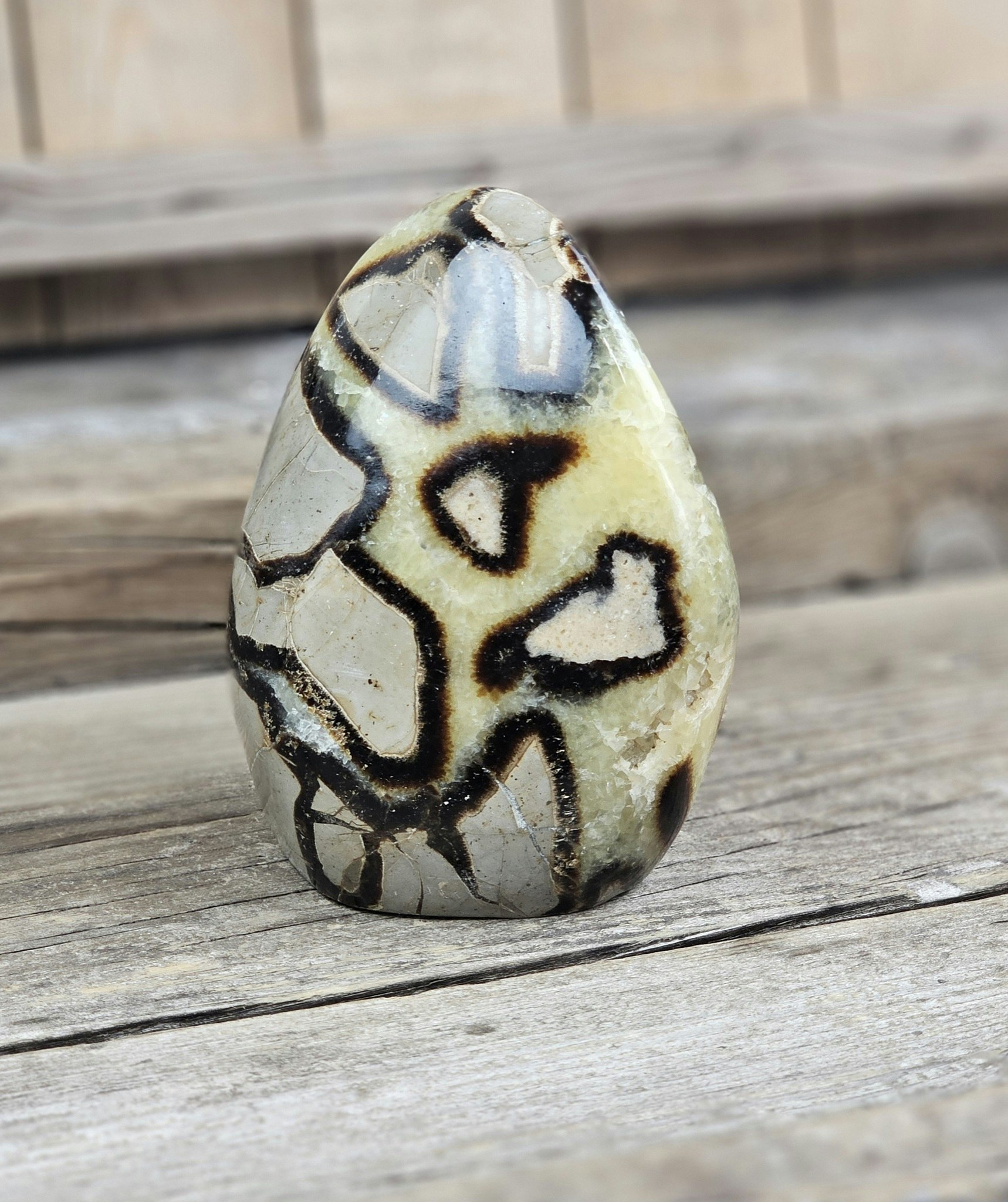 Septarian (Draksten), polerad kristall stående friform #7