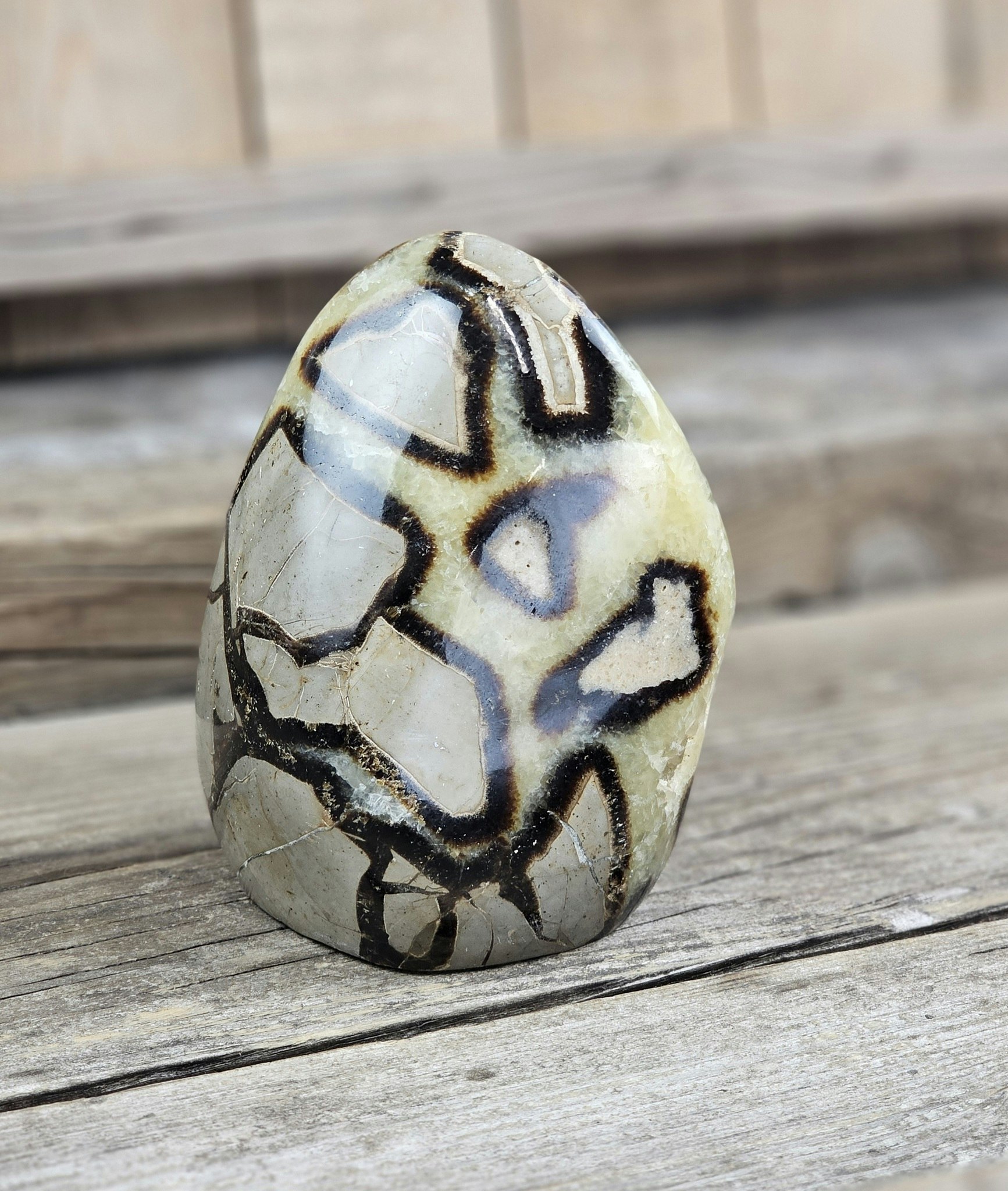 Septarian (Draksten), polerad kristall stående friform #7