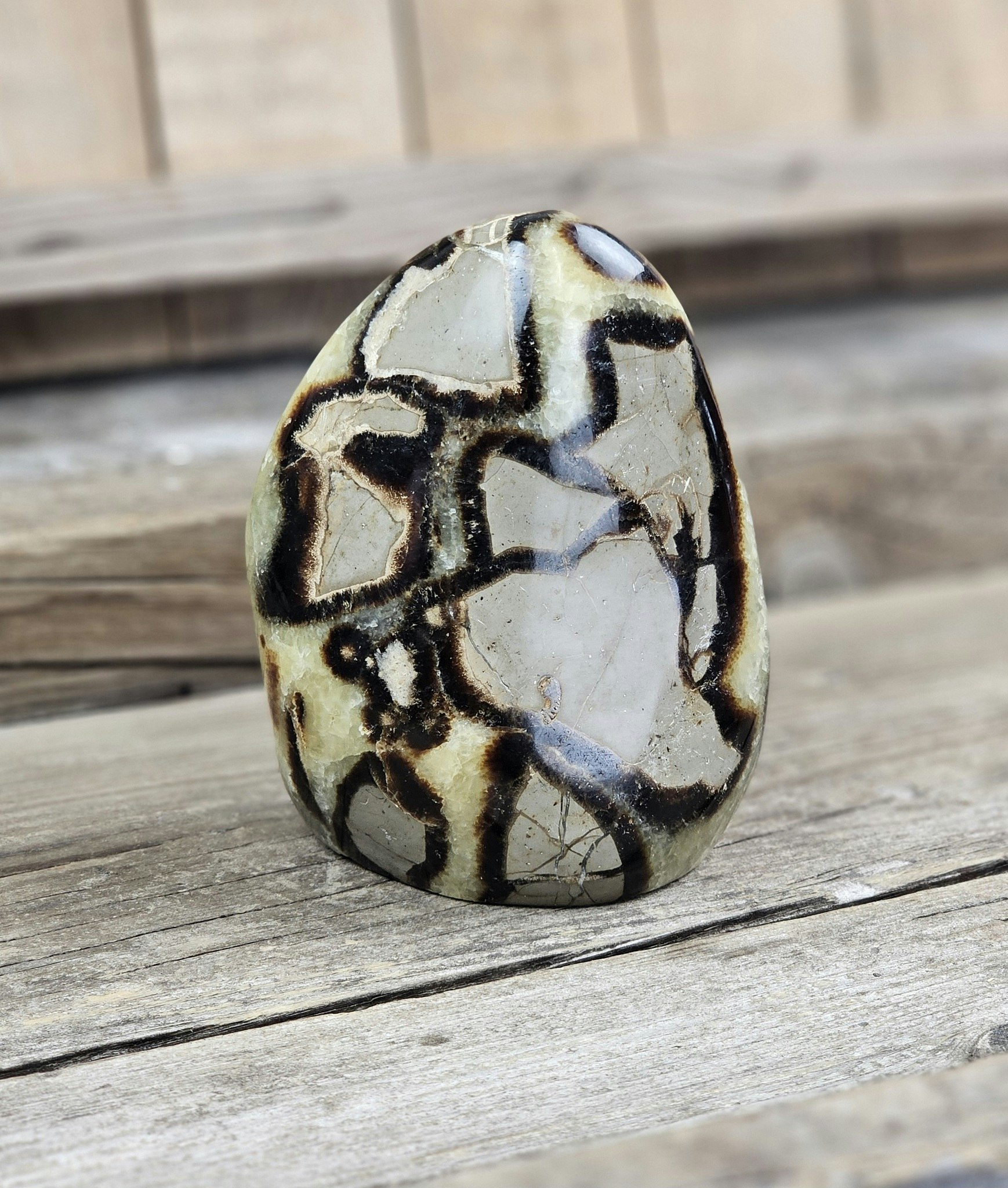 Septarian (Draksten), polerad kristall stående friform #7