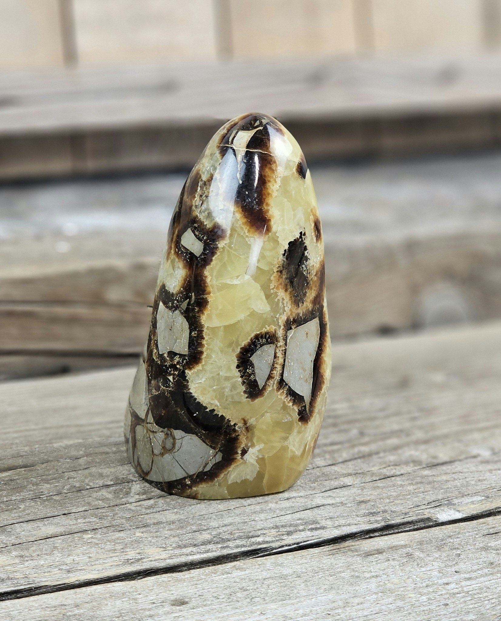 Septarian (Draksten), polerad kristall stående friform