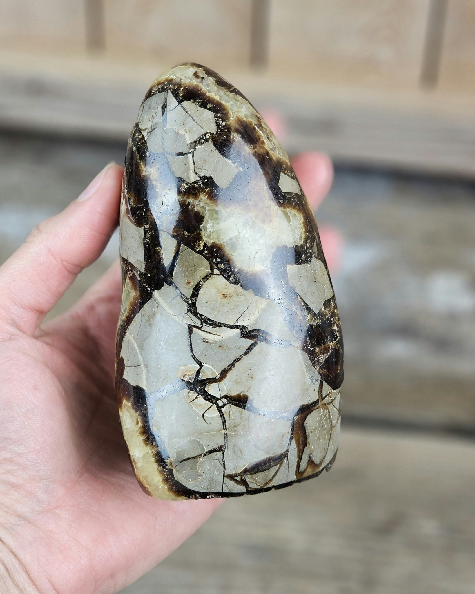 Septarian (Draksten), polerad kristall stående friform