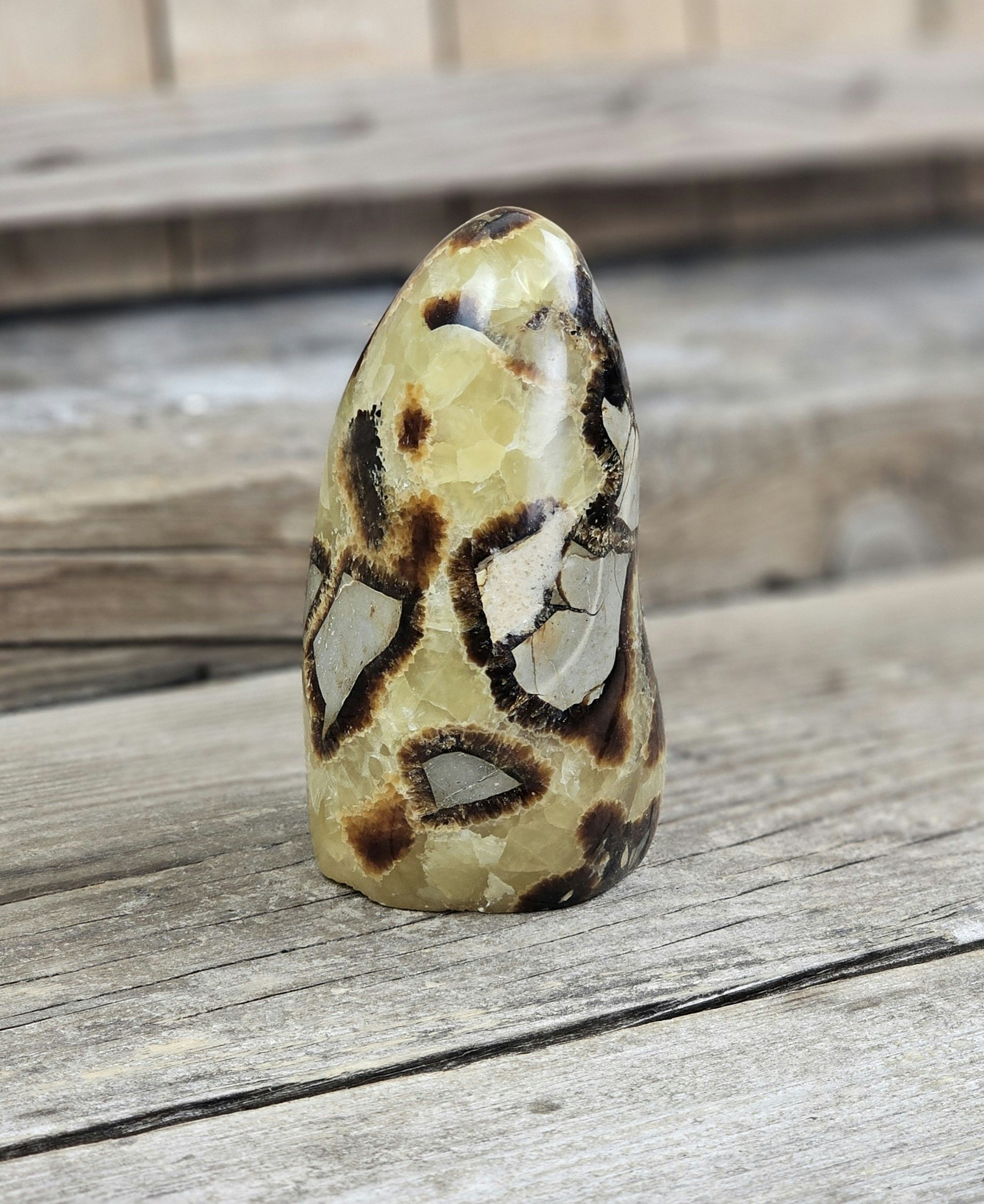 Septarian (Draksten), polerad kristall stående friform