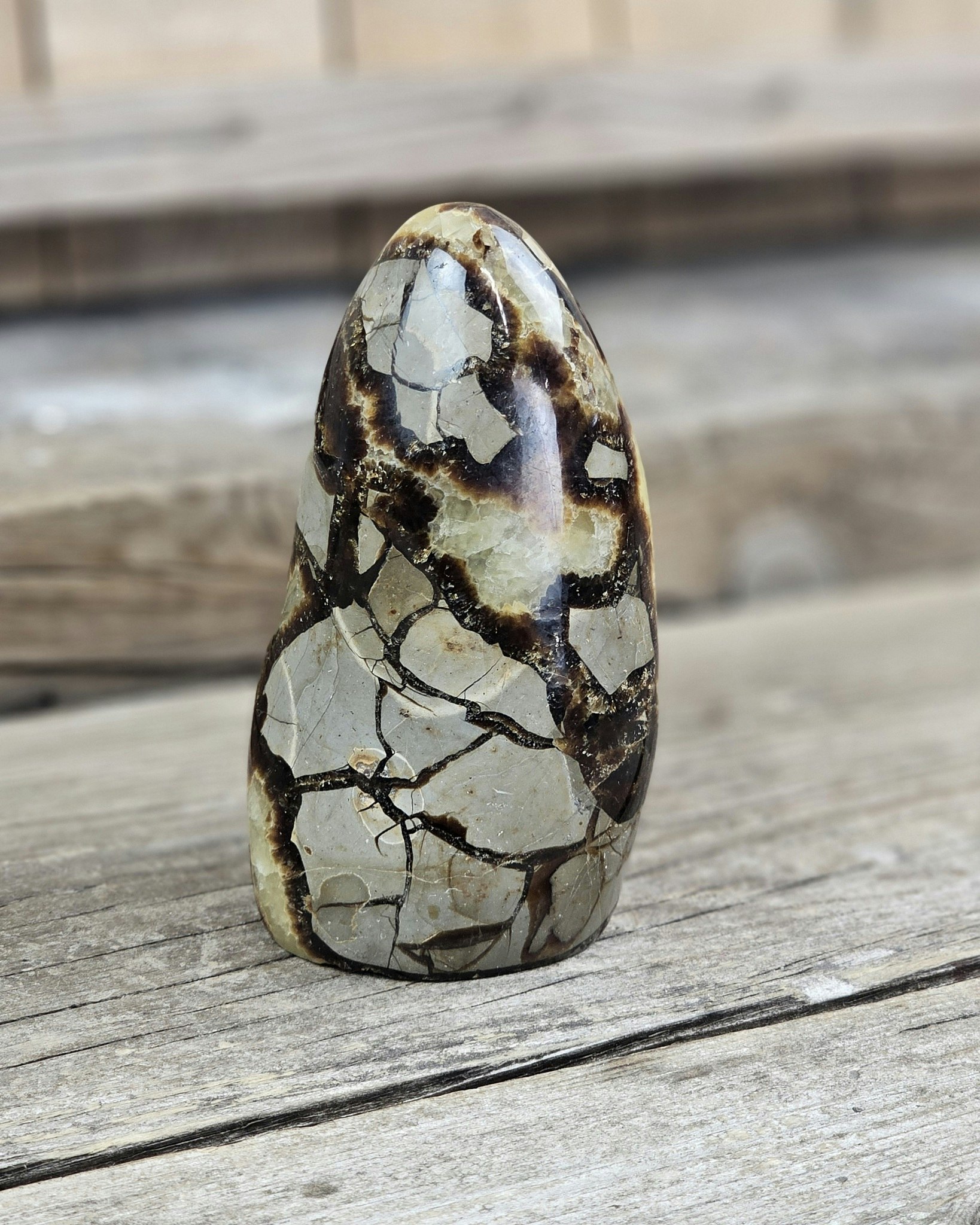Septarian (Draksten), polerad kristall stående friform