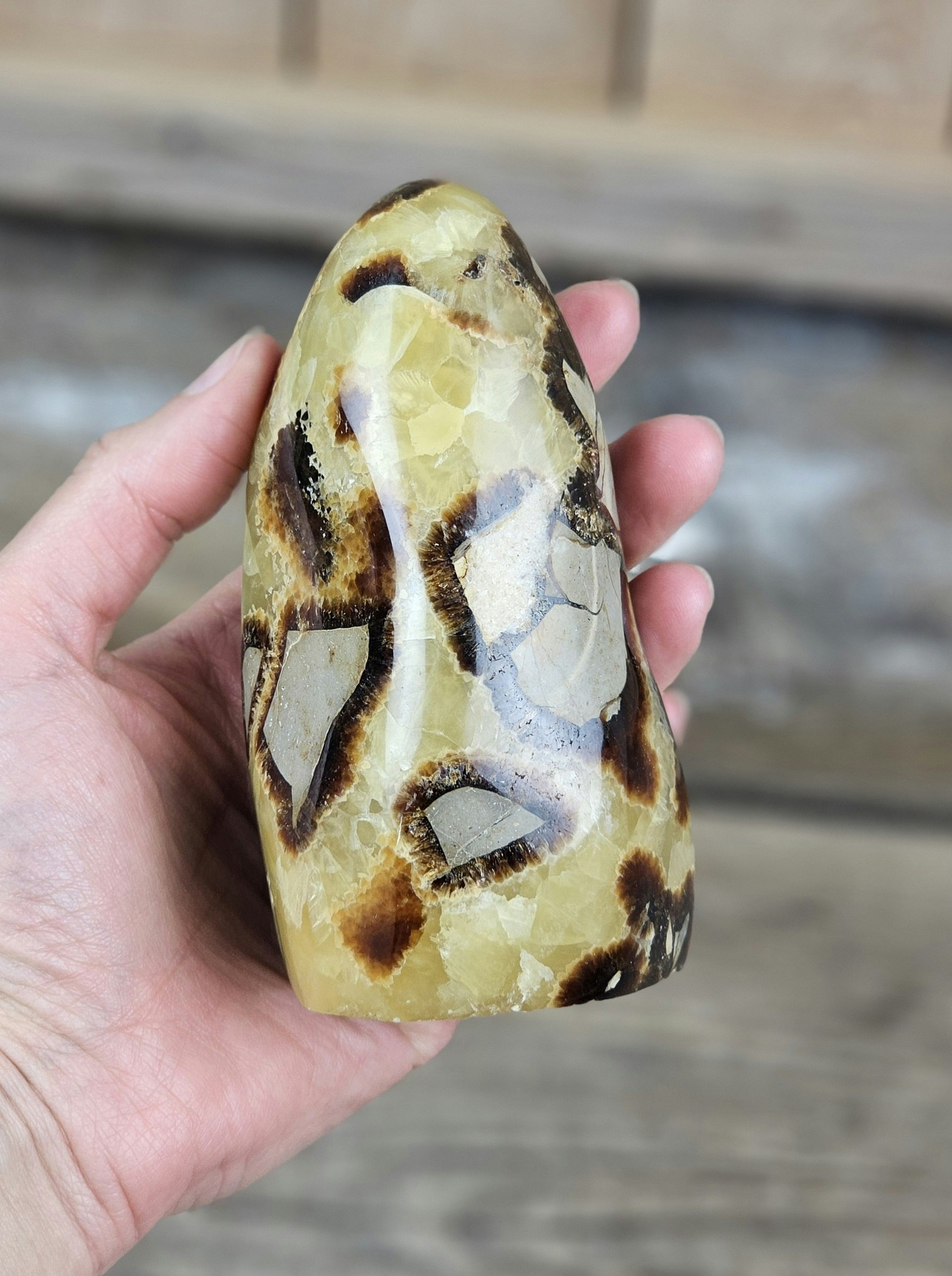 Septarian (Draksten), polerad kristall stående friform