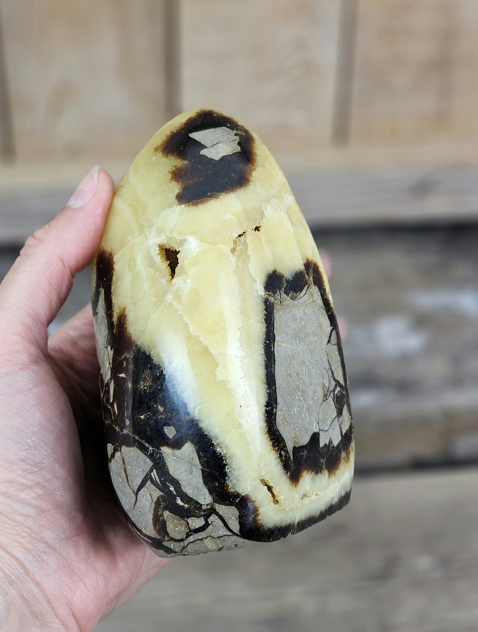 Septarian (Draksten), polerad kristall stående friform #9