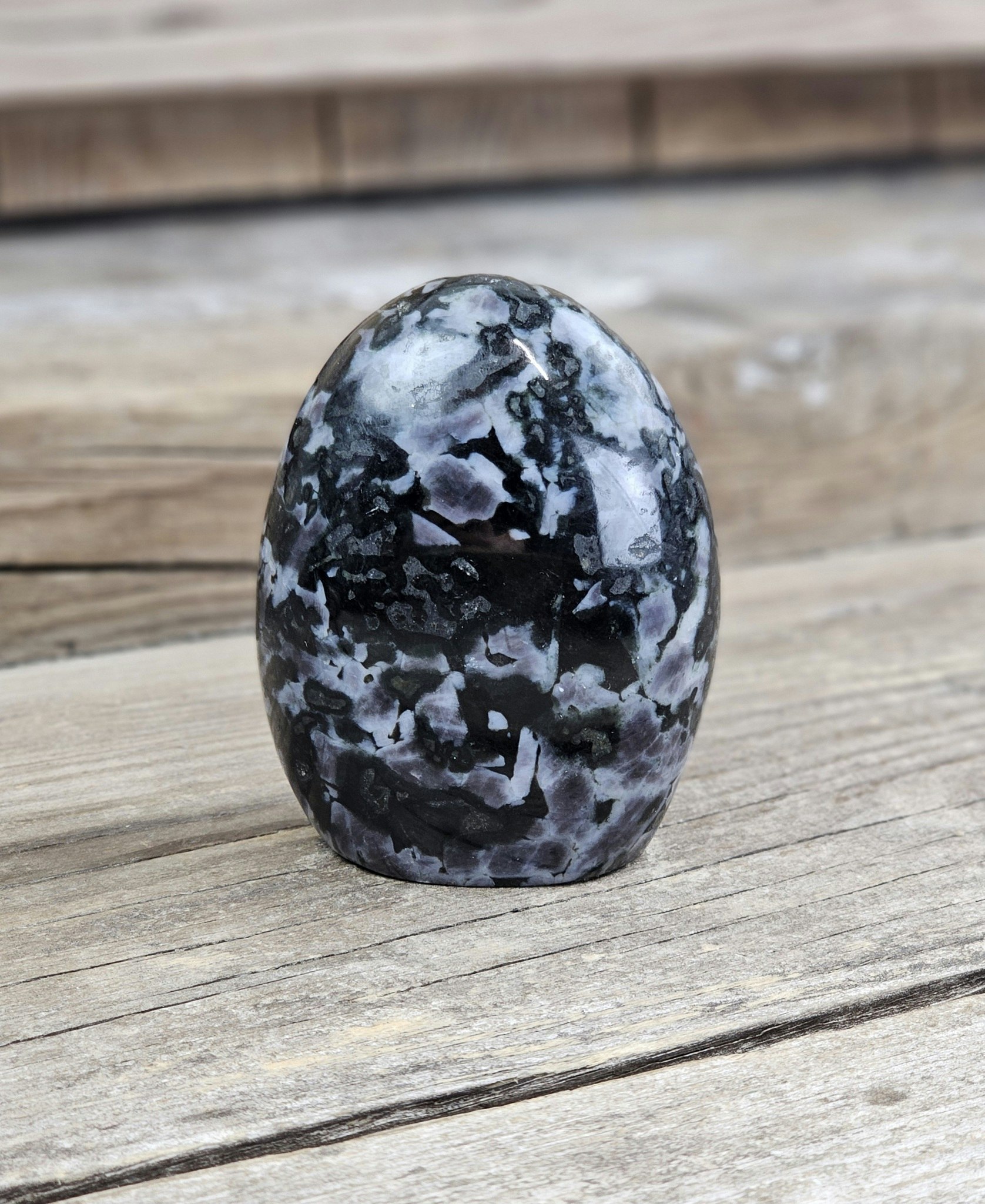 Indigo Gabbro, polerad kristall stående friform #5