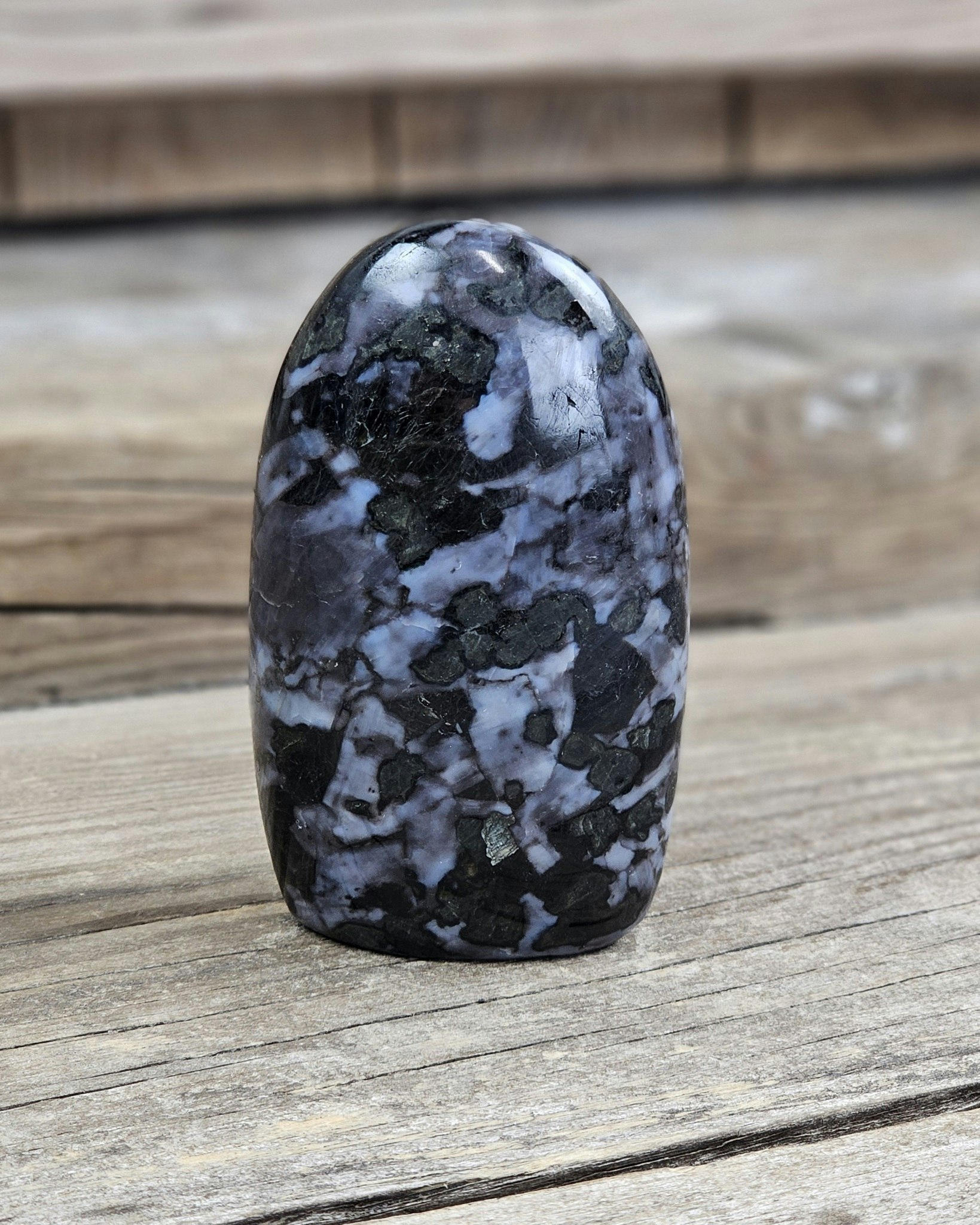 Indigo Gabbro, polerad kristall stående friform #6