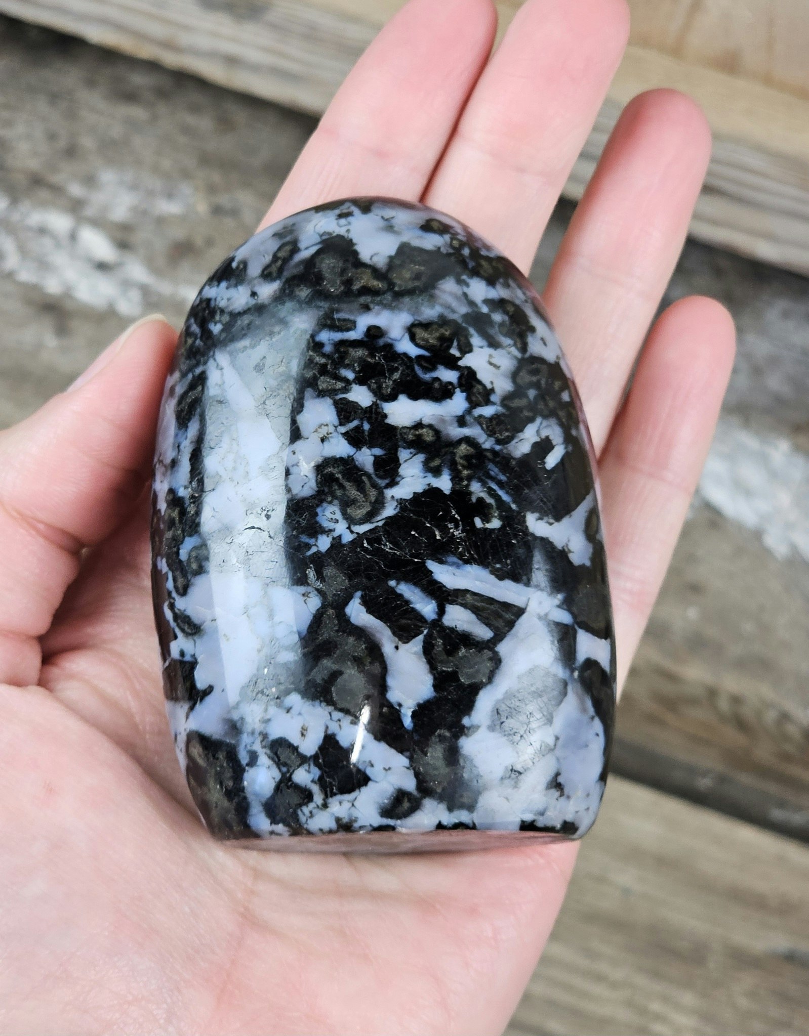 Indigo Gabbro, polerad kristall stående friform