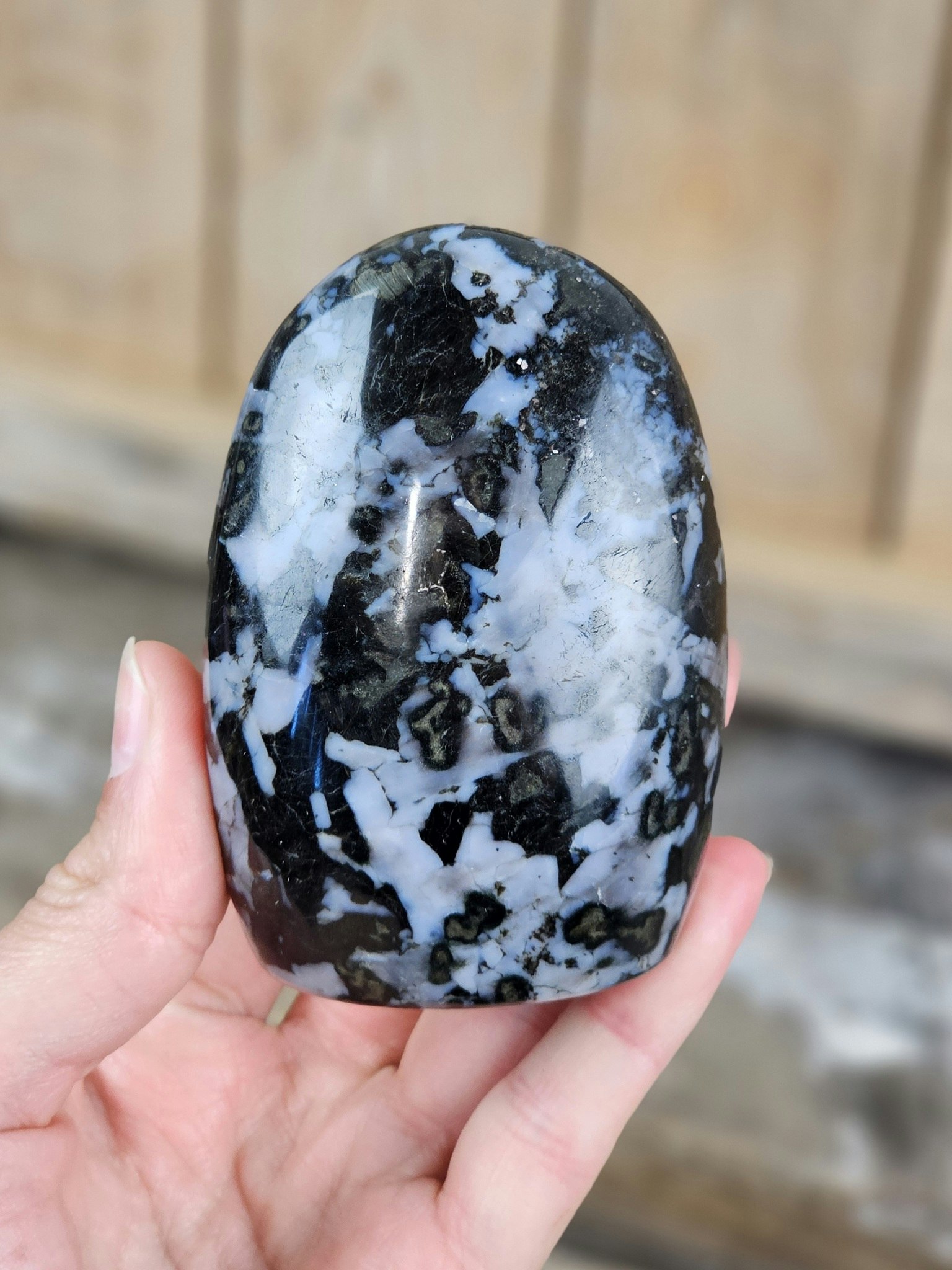 Indigo Gabbro, polerad kristall stående friform