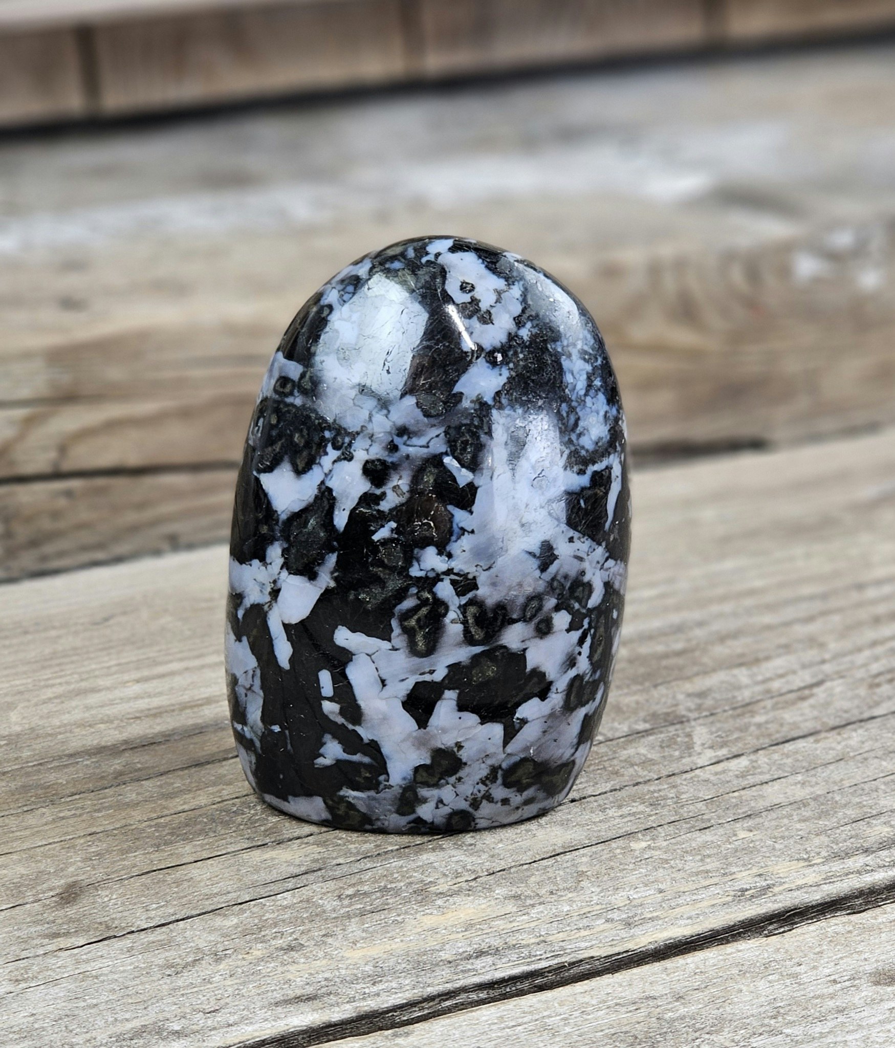 Indigo Gabbro, polerad kristall stående friform