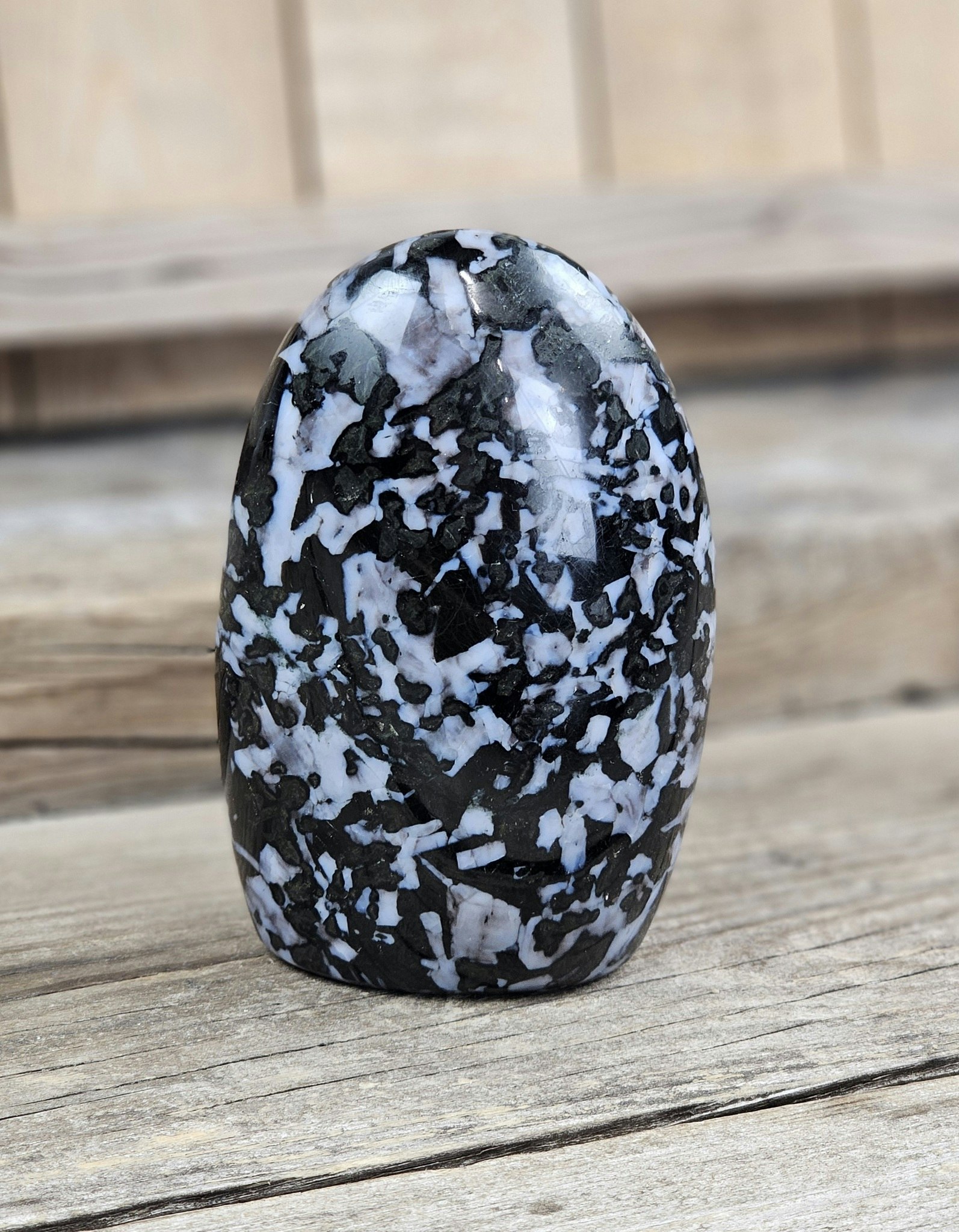 Indigo Gabbro, polerad kristall stående friform #19