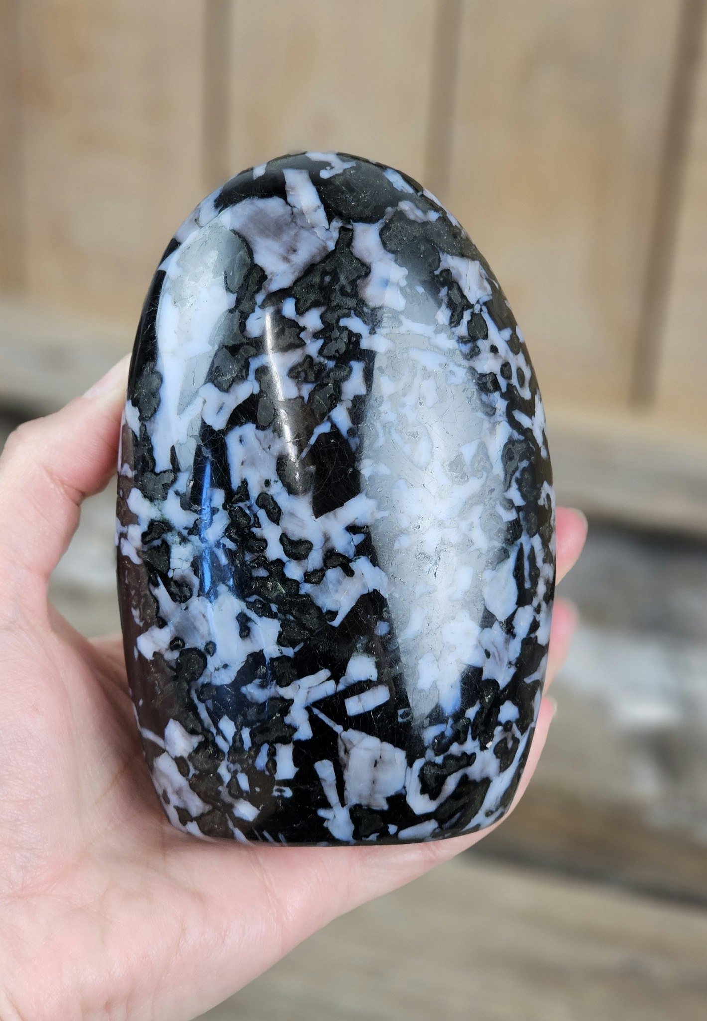 Indigo Gabbro, polerad kristall stående friform #19