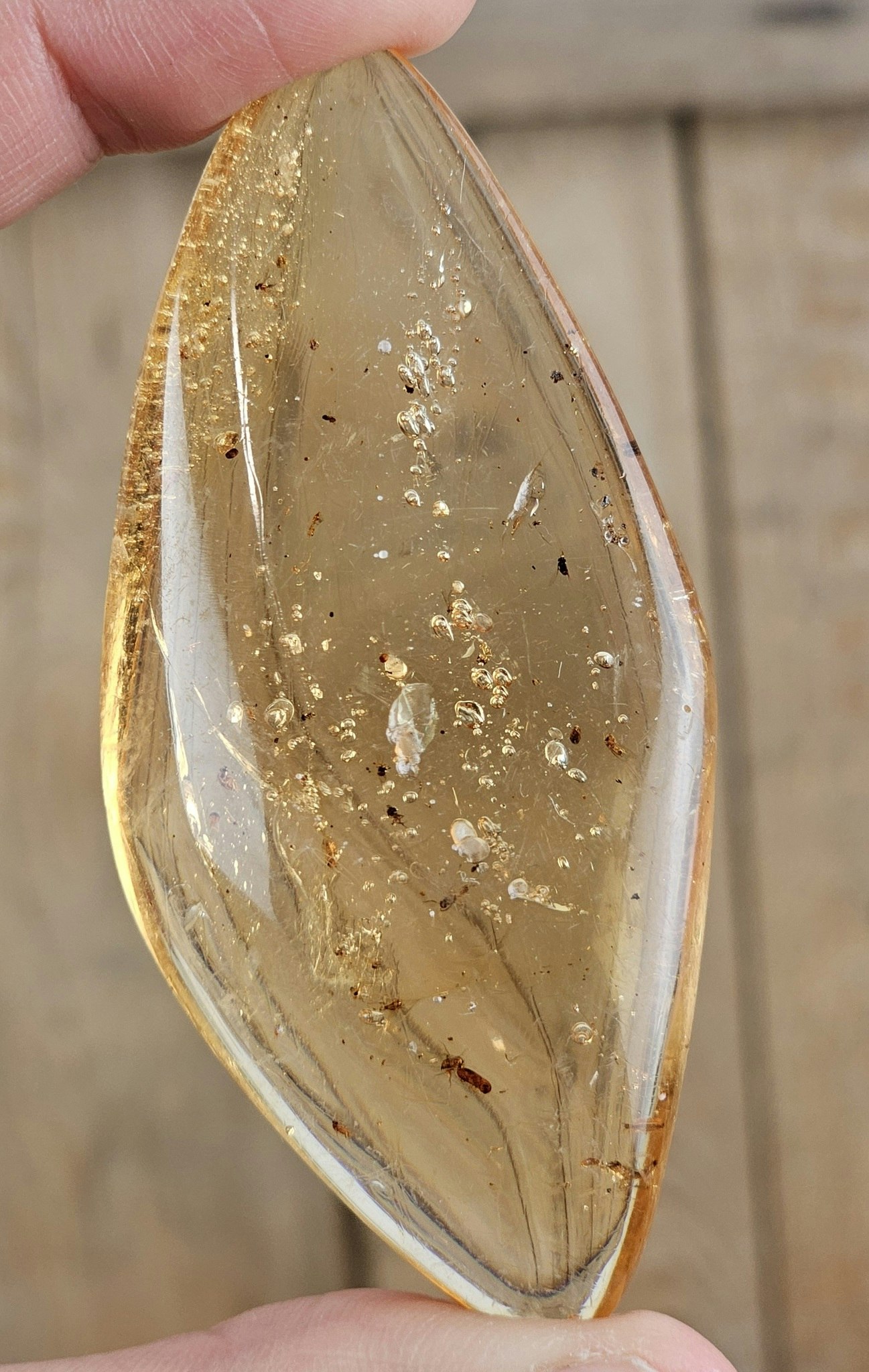 Copal med insekter #7
