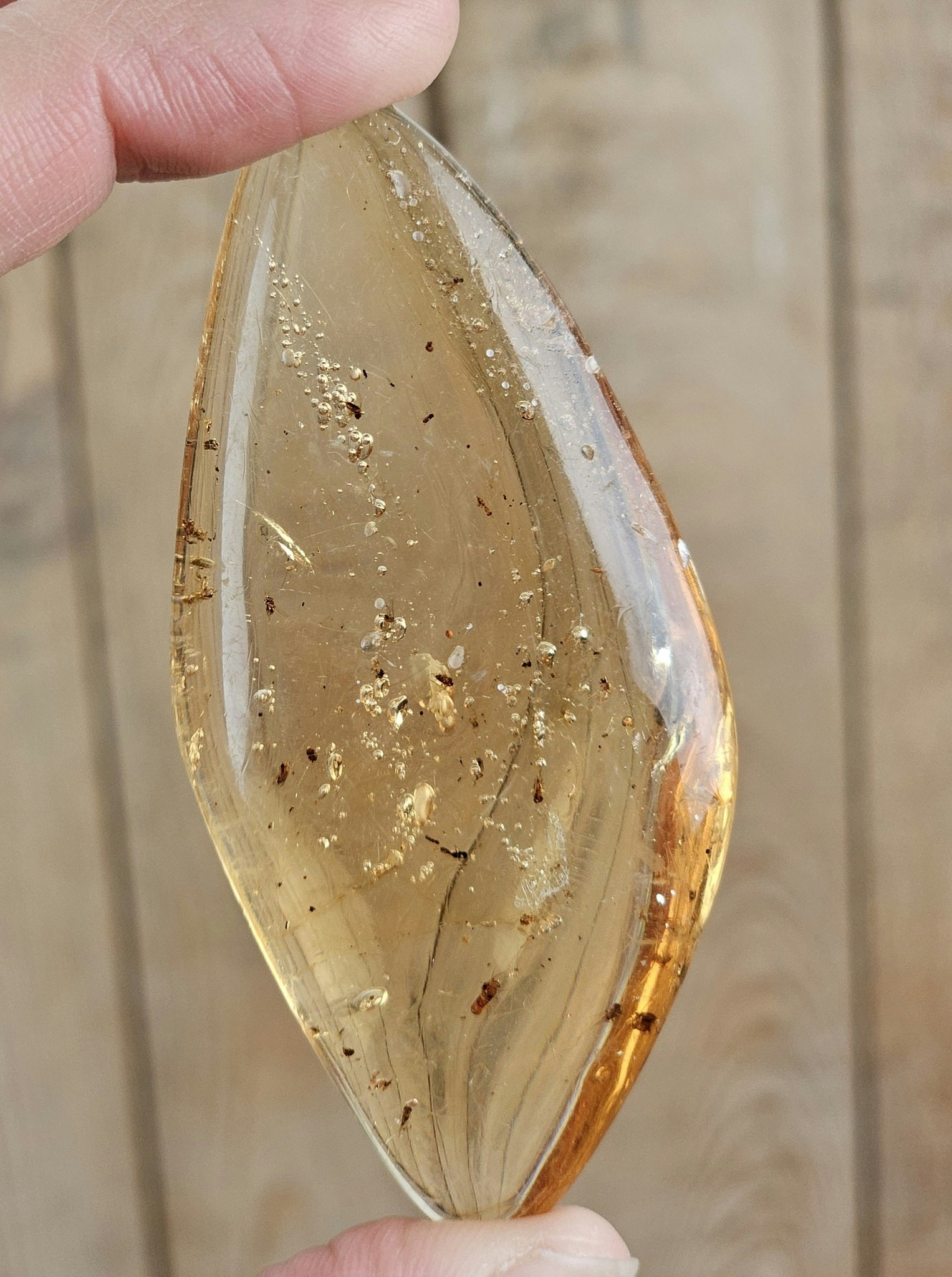 Copal med insekter #7