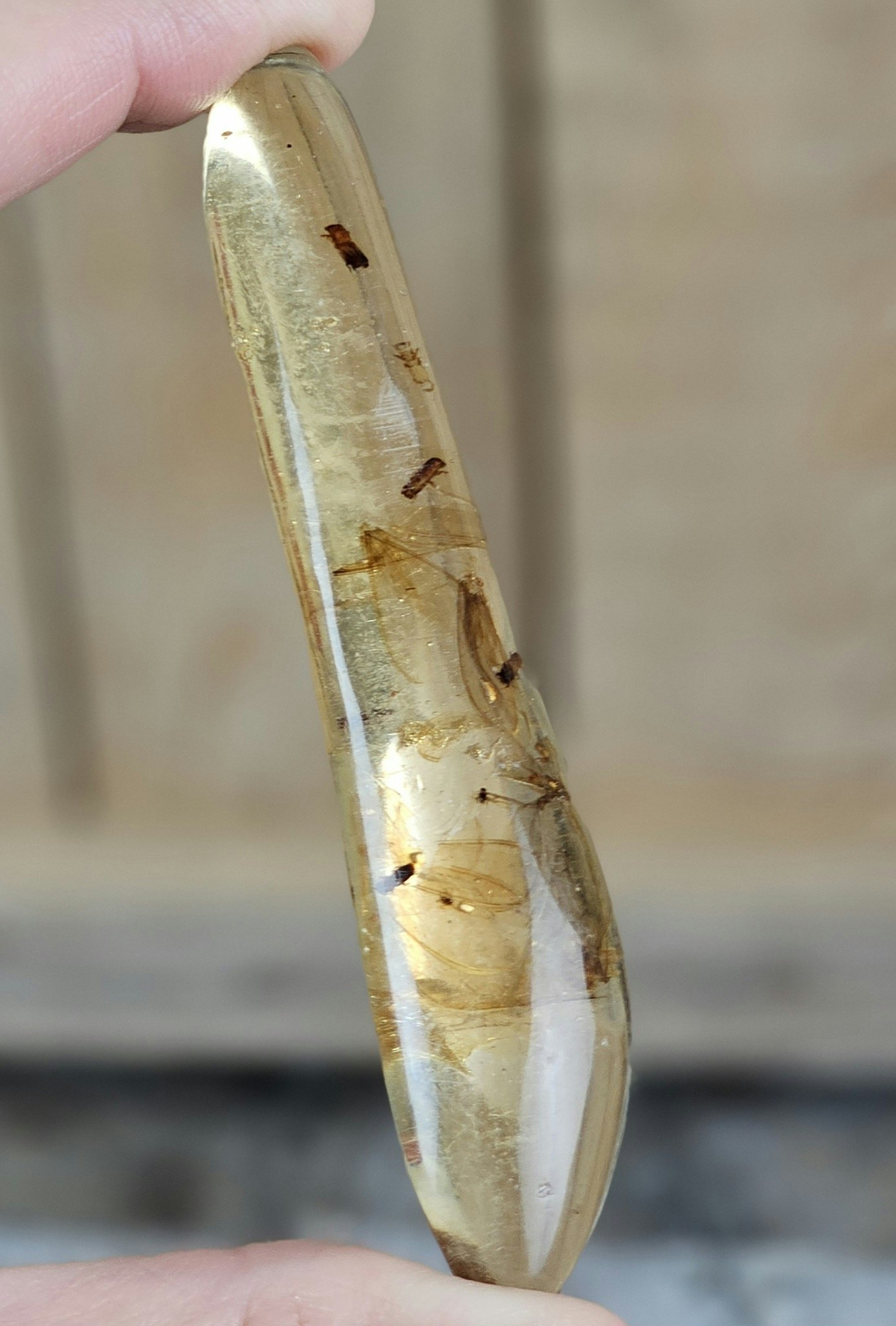 Copal med insekter #8