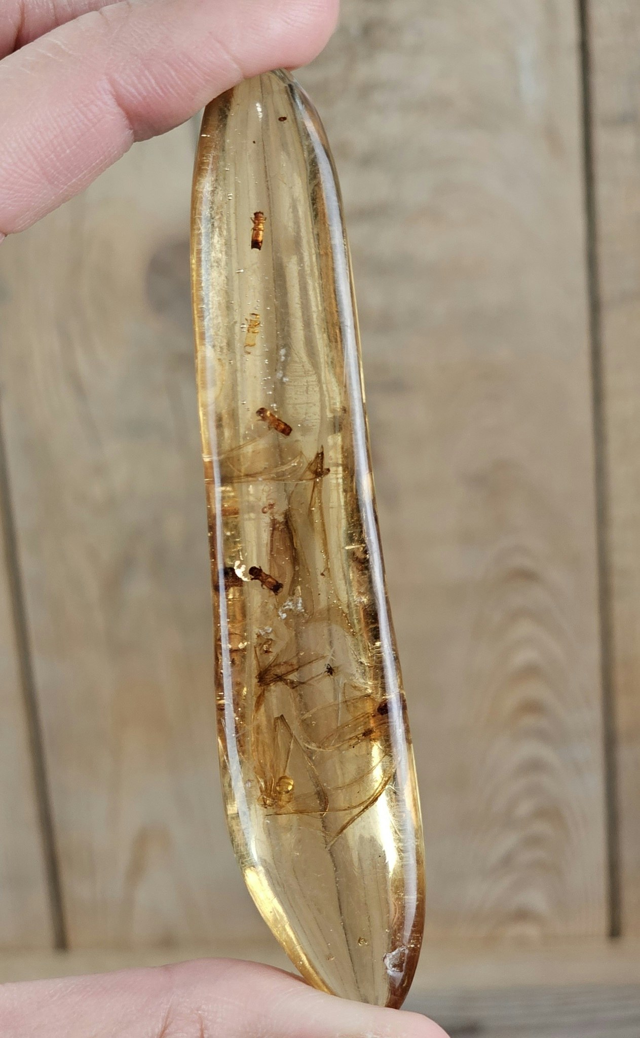 Copal med insekter #8