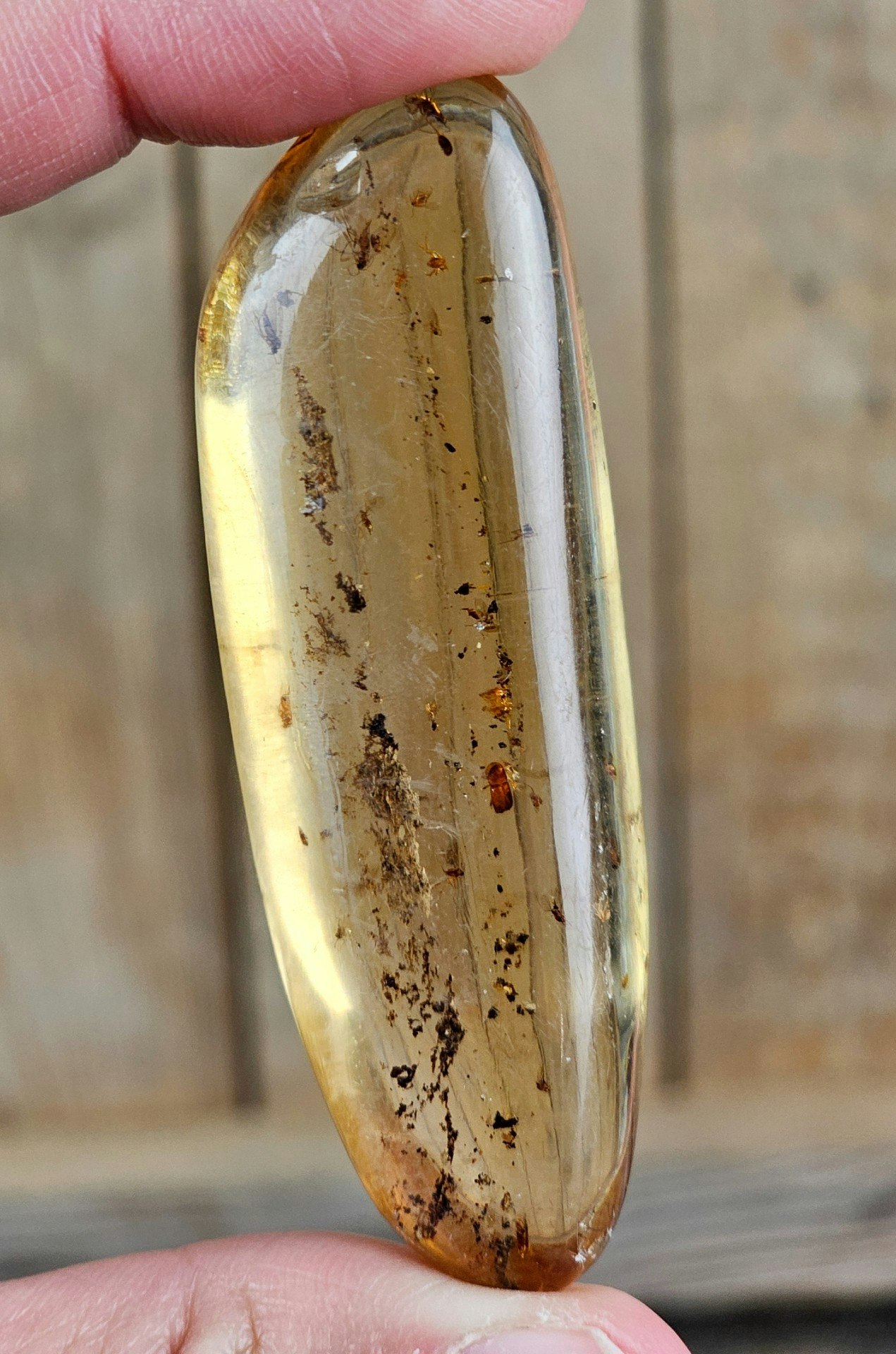Copal med insekter #9