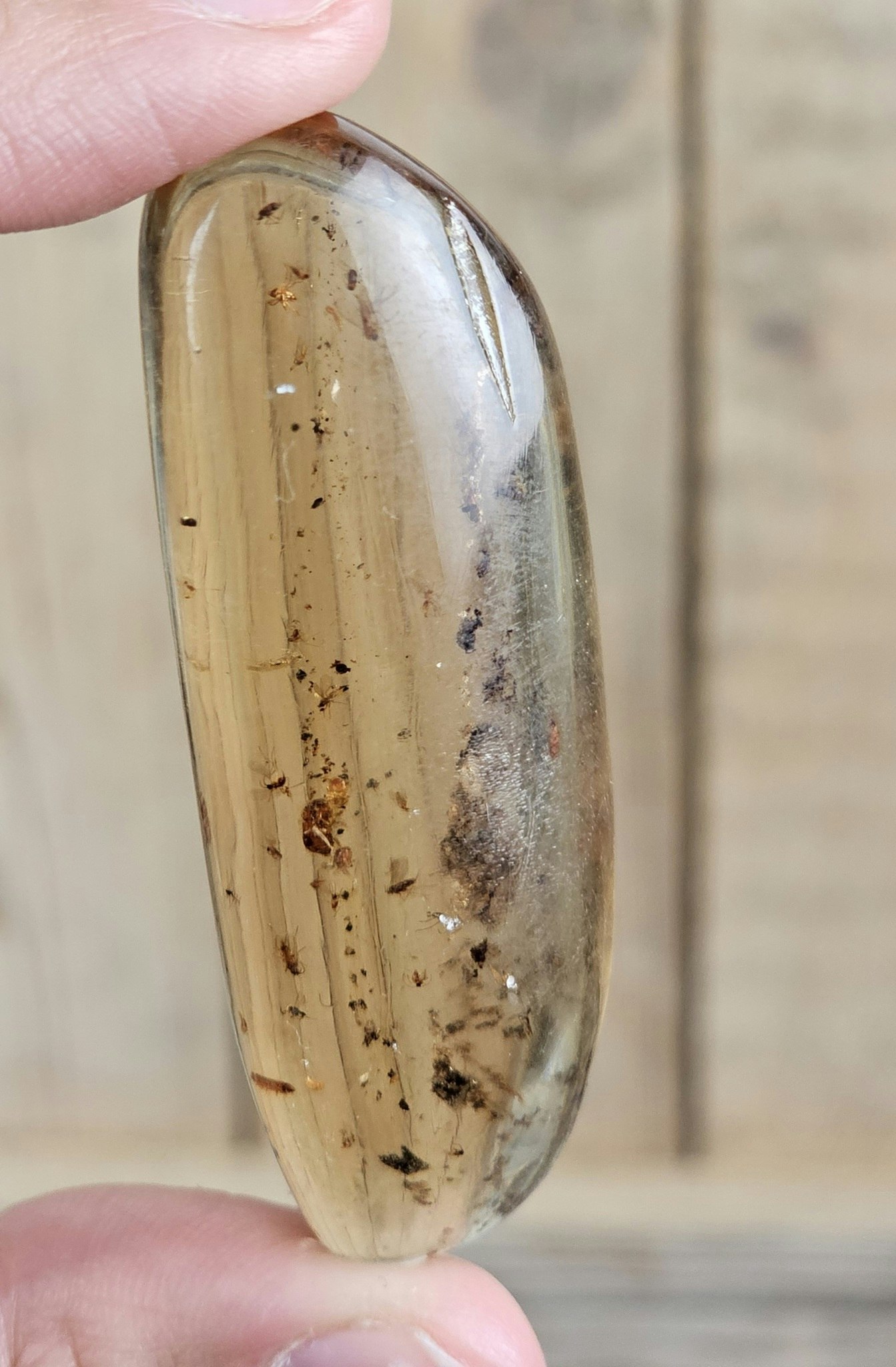 Copal med insekter #9